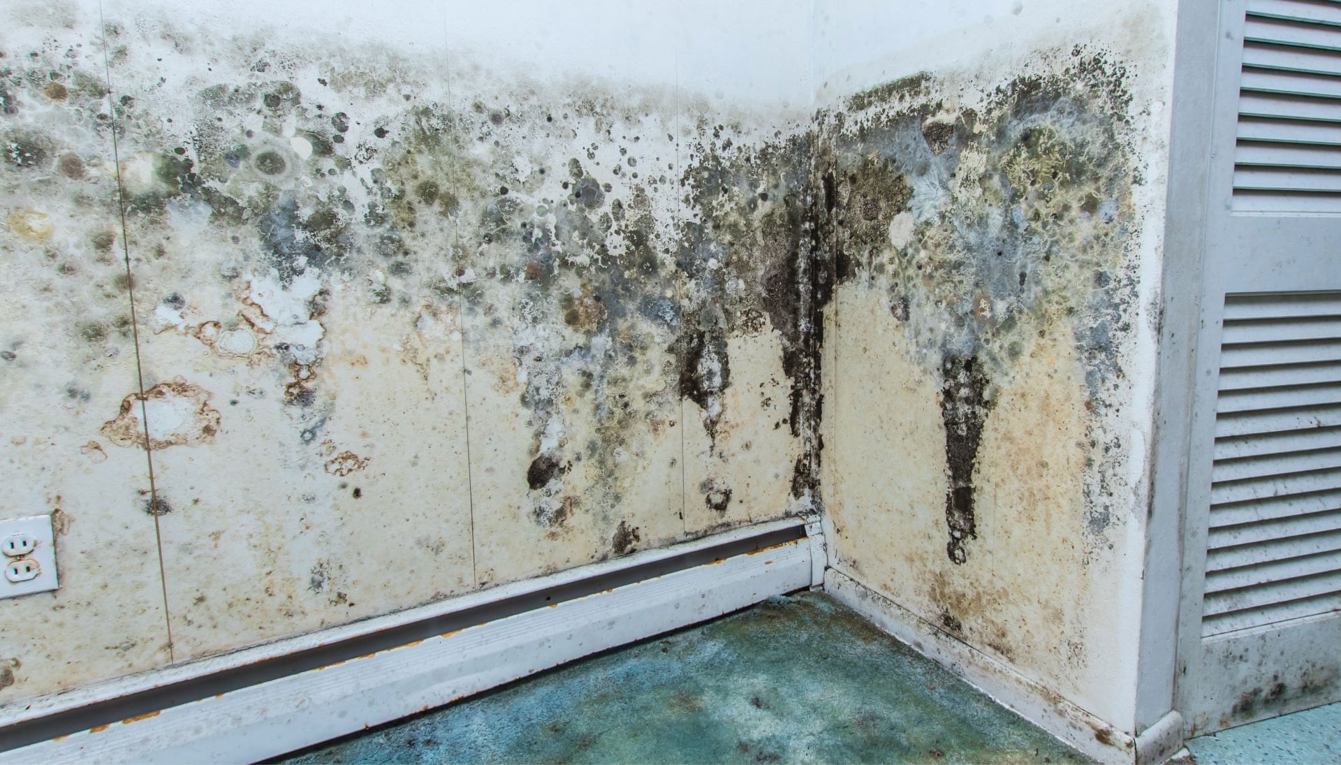 Professional mold removal, odor control, and water damage restoration service in Chattanooga, Tennessee.