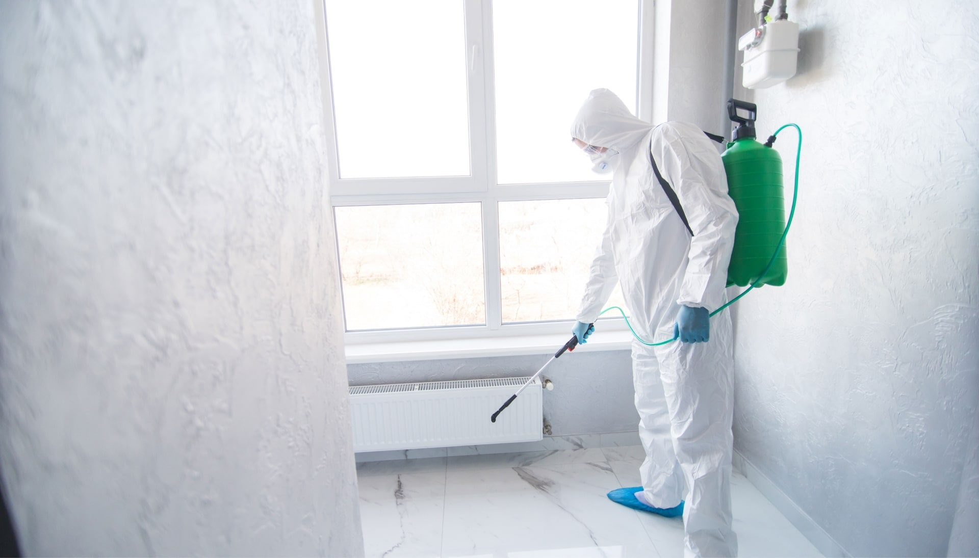 We provide the highest-quality mold inspection, testing, and removal services in the Chattanooga, Tennessee area.